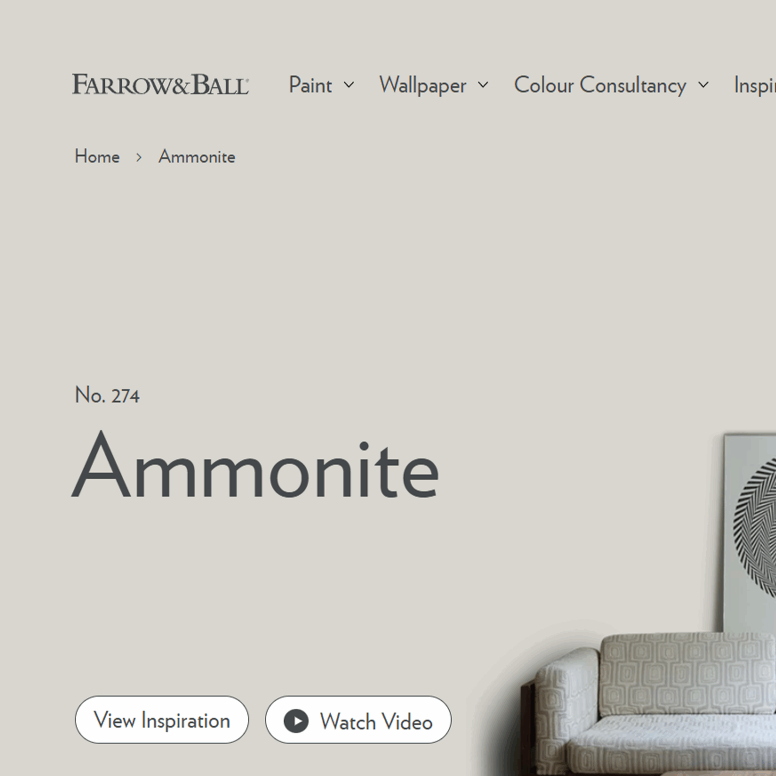 Ammonite Web