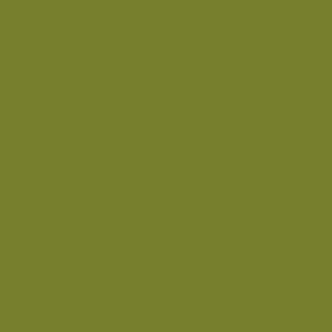 Little Greene Citrine