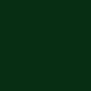 Little Greene Dark Brunswick Green