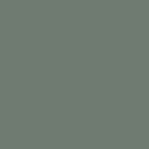 Farrow&Ball Green Smoke