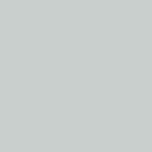Farrow&Ball Skylight