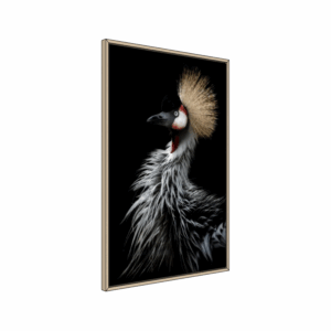 Crowned crane's portrait